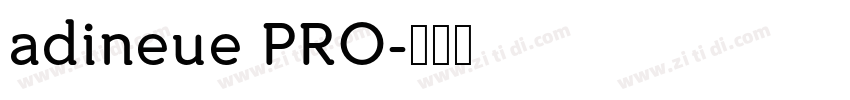adineue PRO字体转换
